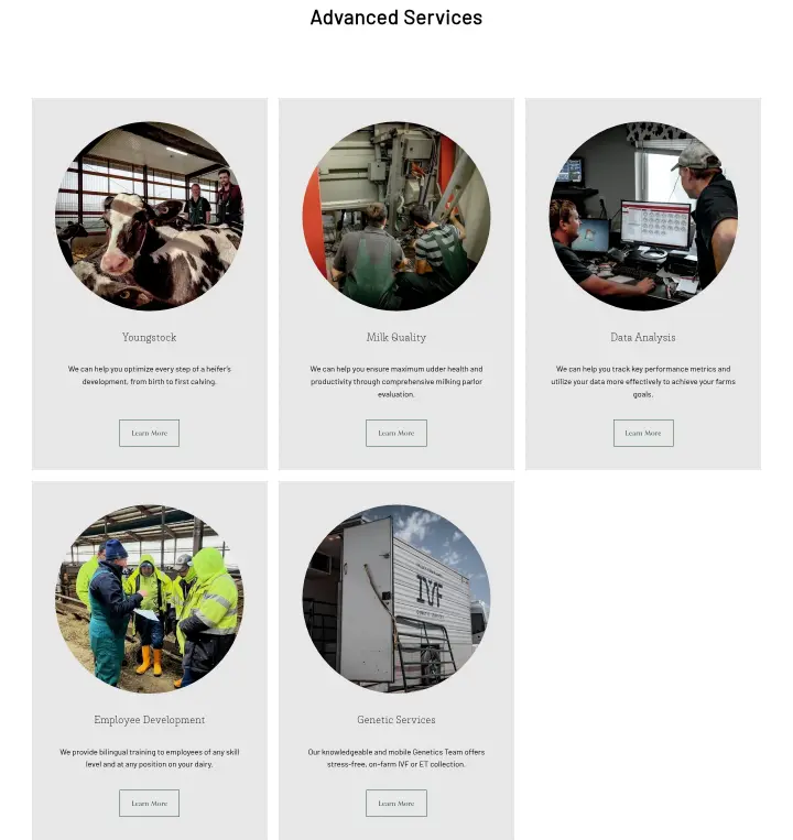 Advanced Services on Valley Veterinary Clinic