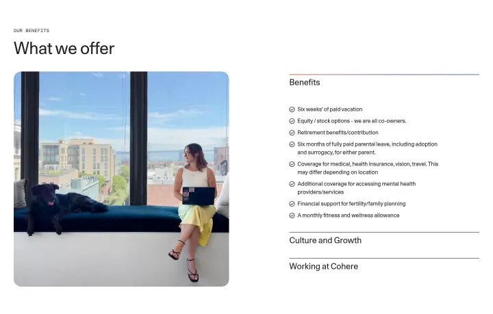 What we offer on Cohere