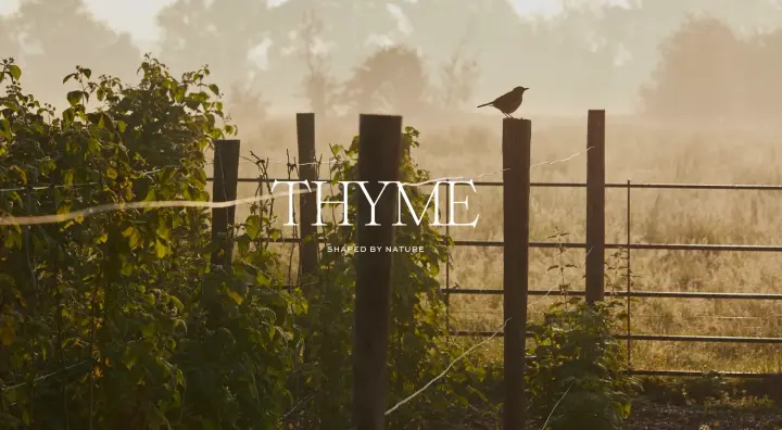 Hero on Thyme