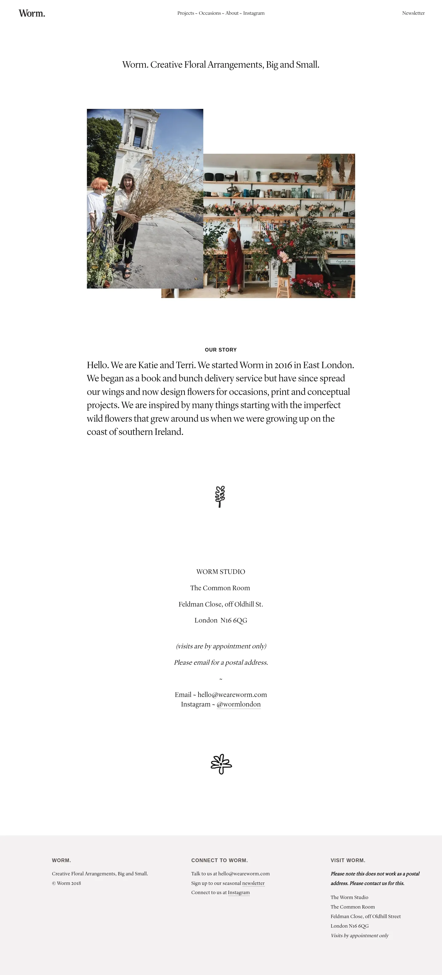 Screenshot of Worm at desktop width