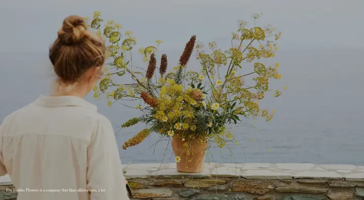 Hero on Fox Fodder Flowers