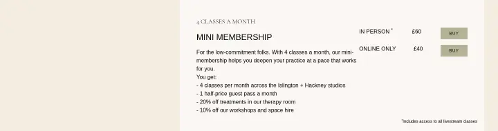 Mini Membership on Samya Studios