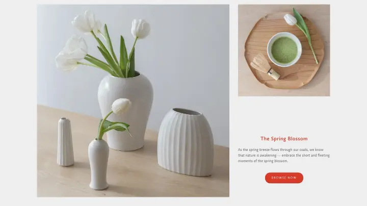 The Spring Blossom on Native & Co