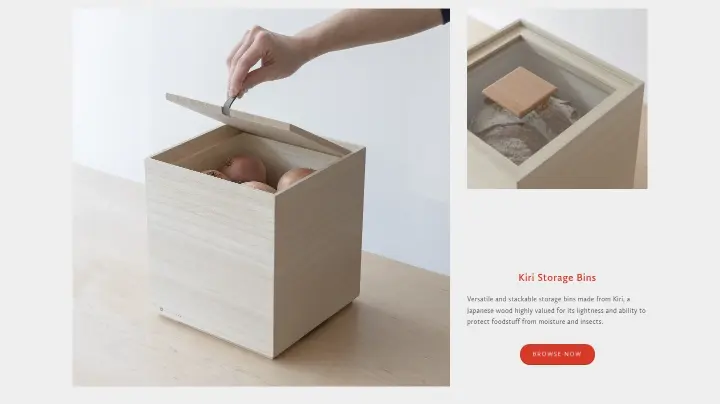 Kiri Storage Bins on Native & Co