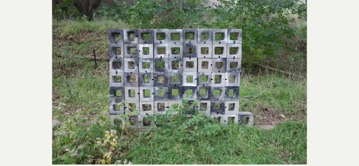 Content on Terremoto