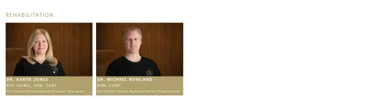Content on King Animal Hospital