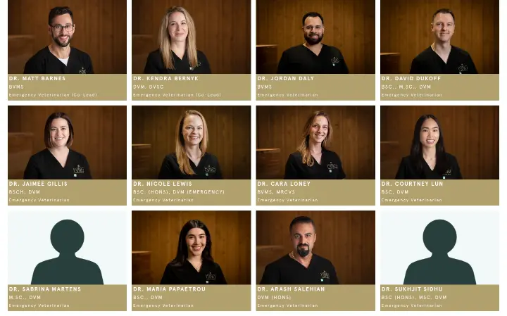 Content on King Animal Hospital