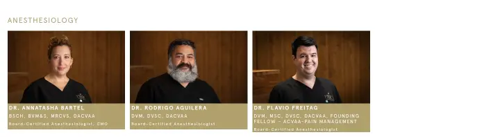 Content on King Animal Hospital