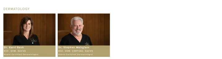 Content on King Animal Hospital