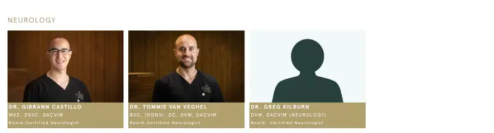 Content on King Animal Hospital