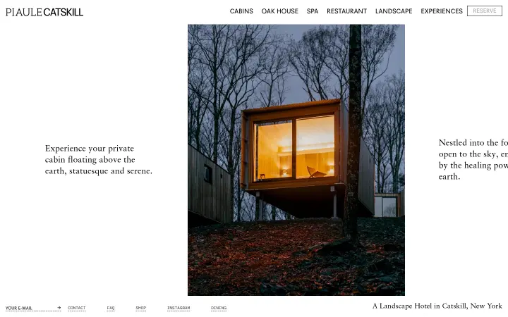 Hero on Piaule Catskill