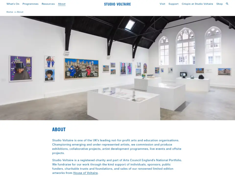 Studio Voltaire — About