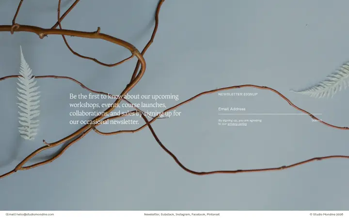 Newsletter on Studio Mondine