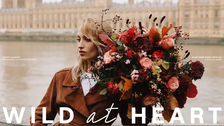 Hero on Wild at Heart