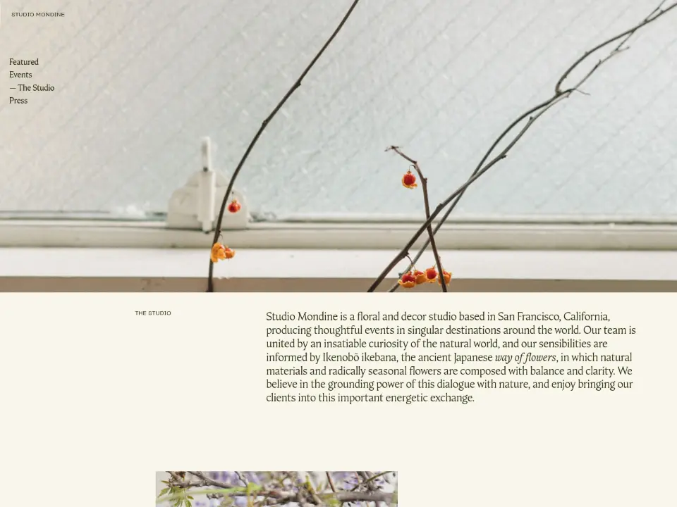 Studio Mondine — About