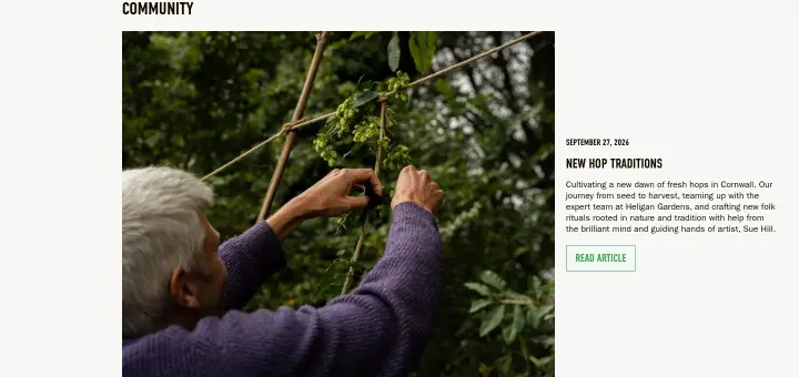 Community on Verdant Brewing Co