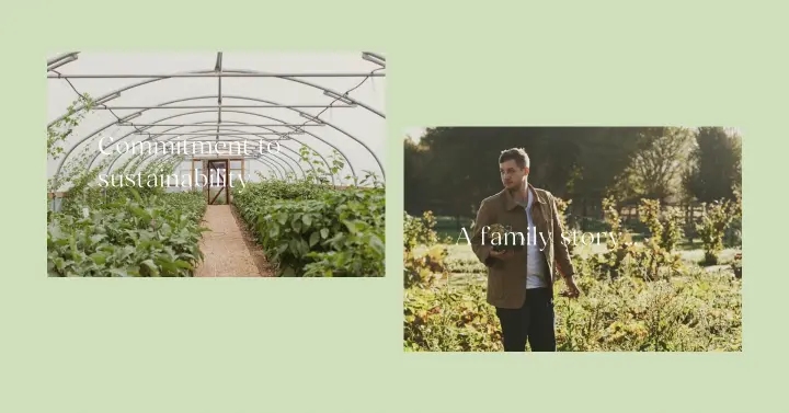 Commitment to sustainability on Thyme