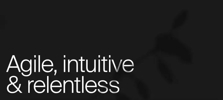 Agile, intuitive & relentless on Setia Law