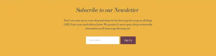 Subscribe to our Newsletter on Lewis Miller Design