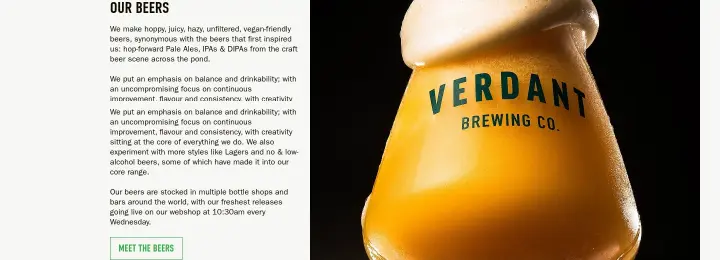 Our Beers on Verdant Brewing Co