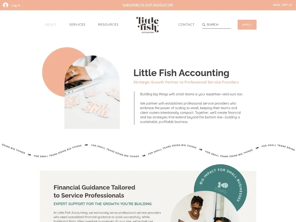 Little Fish Accounting — About