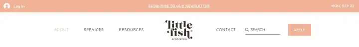 Navigation on Little Fish Accounting