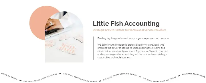 Little Fish Accounting on Little Fish Accounting