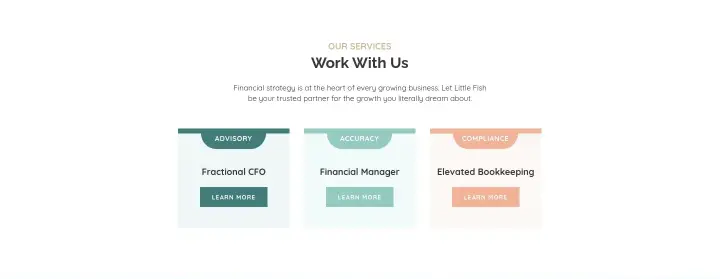 Work With Us on Little Fish Accounting