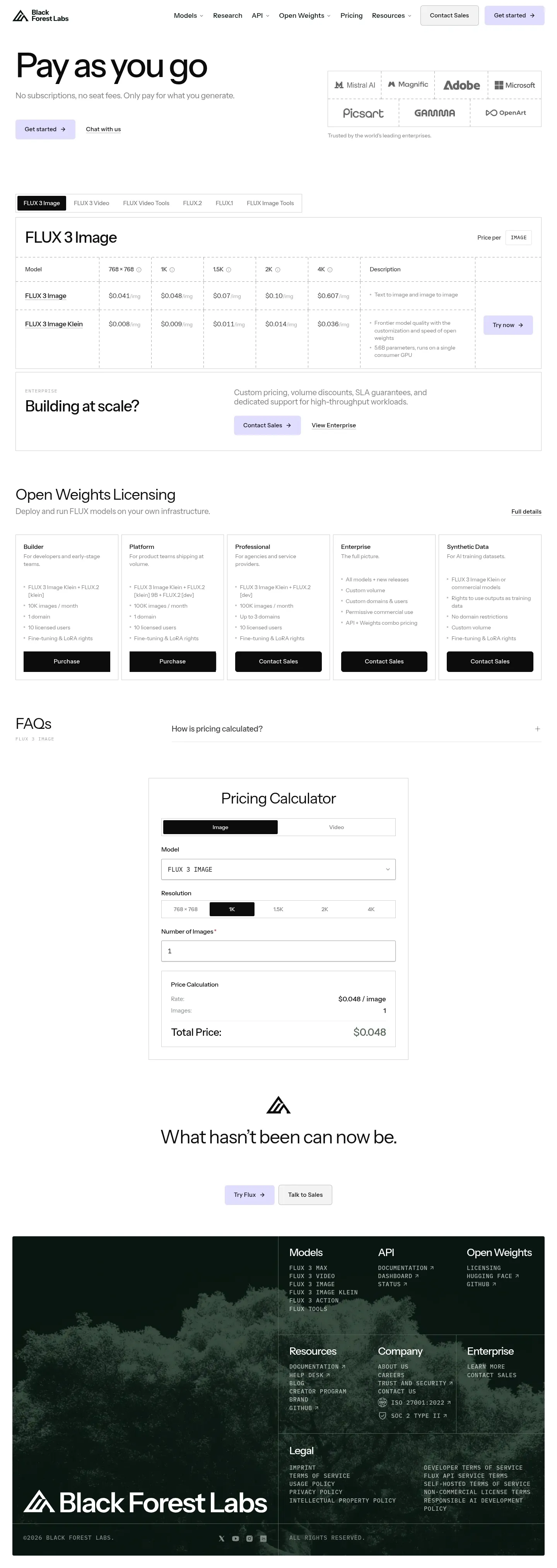 Screenshot of Black Forest Labs at desktop width