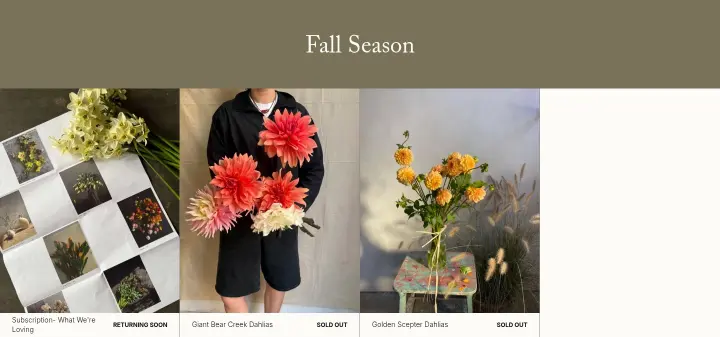 Fall Season on Fox Fodder Flowers