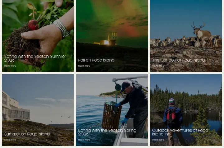 Eating with the Season: Summer 2026 on Fogo Island Inn