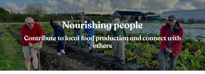 Nourishing people on Sutton Community Farm