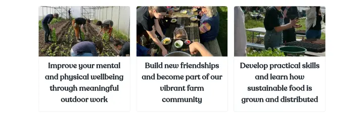 Improve your mental and physical wellbeing… on Sutton Community Farm