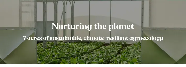 Nurturing the planet on Sutton Community Farm