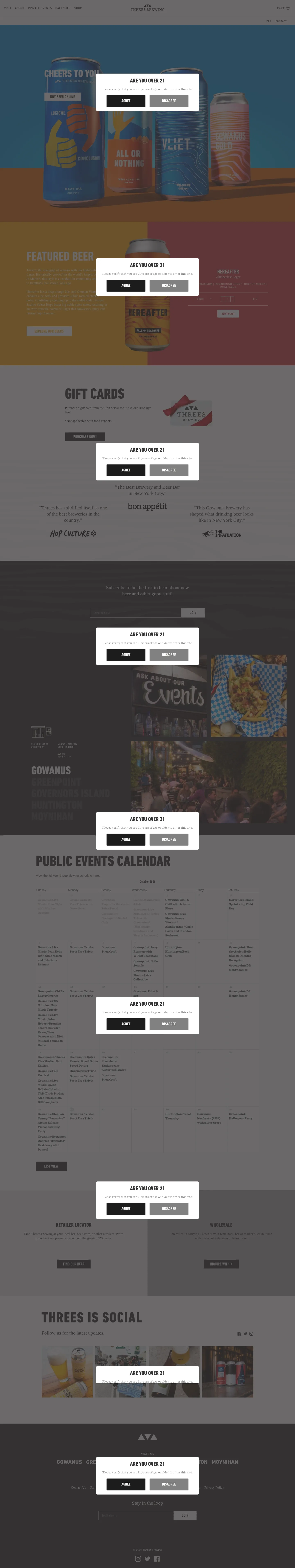 Screenshot of Threes Brewing at desktop width