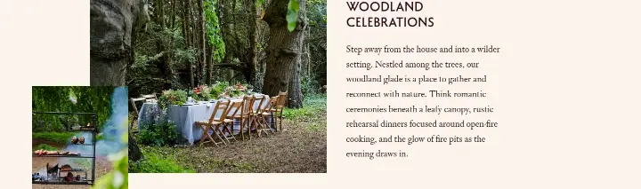 Woodland Celebrations on Kin House