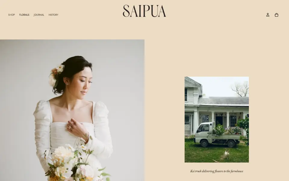 Saipua — Services