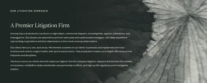 A Premier Litigation Firm on Selendy Gay