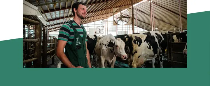 Content on Valley Veterinary Clinic