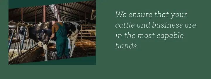 We ensure that your cattle and business are… on Valley Veterinary Clinic
