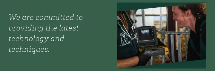 We are committed to providing the latest… on Valley Veterinary Clinic