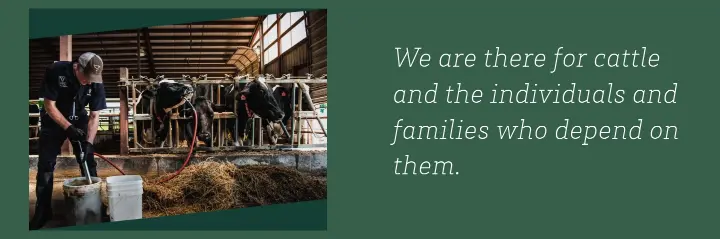 We are there for cattle and the individuals… on Valley Veterinary Clinic
