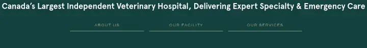 Services on King Animal Hospital