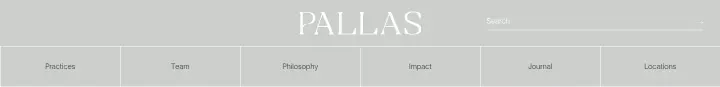 Navigation on Pallas Partners