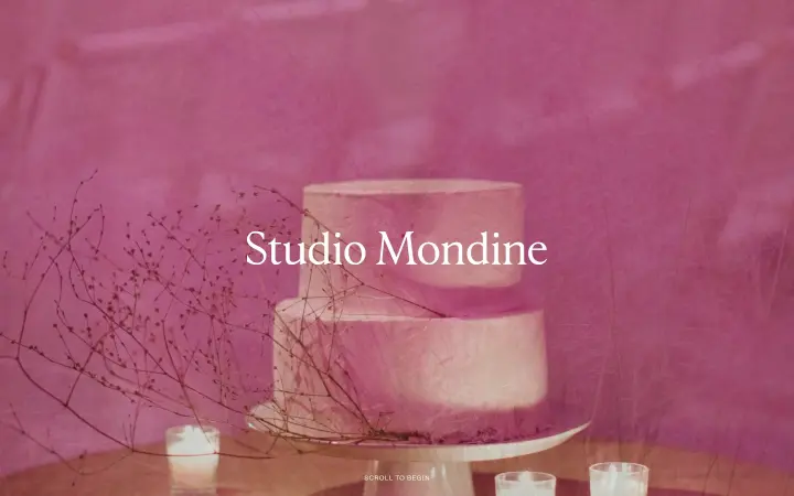 Hero on Studio Mondine