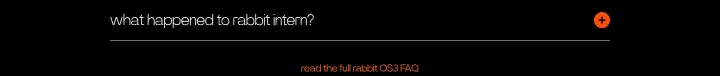 what happened to rabbit intern? on rabbit