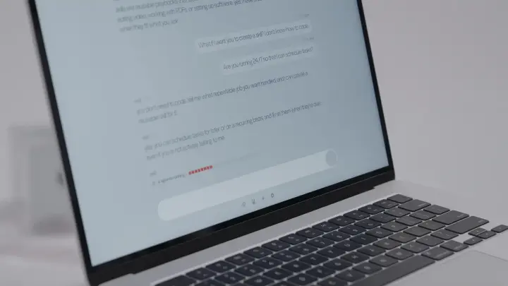 Content on rabbit