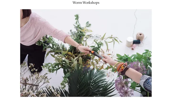 Worm Workshops on Worm