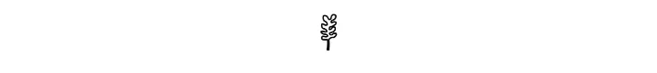 Content on Worm