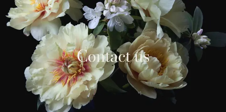 Contact us on Lewis Miller Design